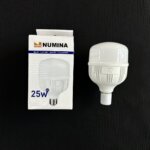 TG T100 25W E27 6500K