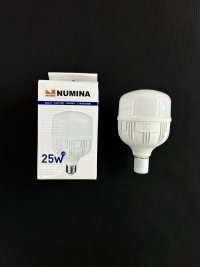 TG T100 25W E27 6500K