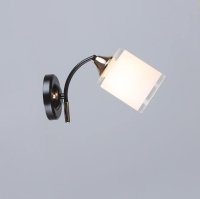 QH N6089/1WS CF+FG E27