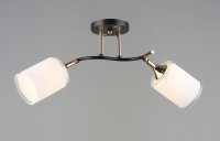 QH N6089/2 CF+FG E27