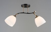 QH N6090/2 CF+FG E27