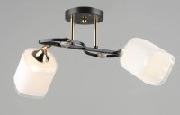 QH N6204/2 CF+FG E27