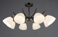 QH N6602/8 BK+COP E27